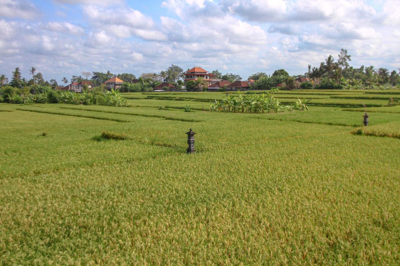 Kubu Sari Ubud Exteriör bild