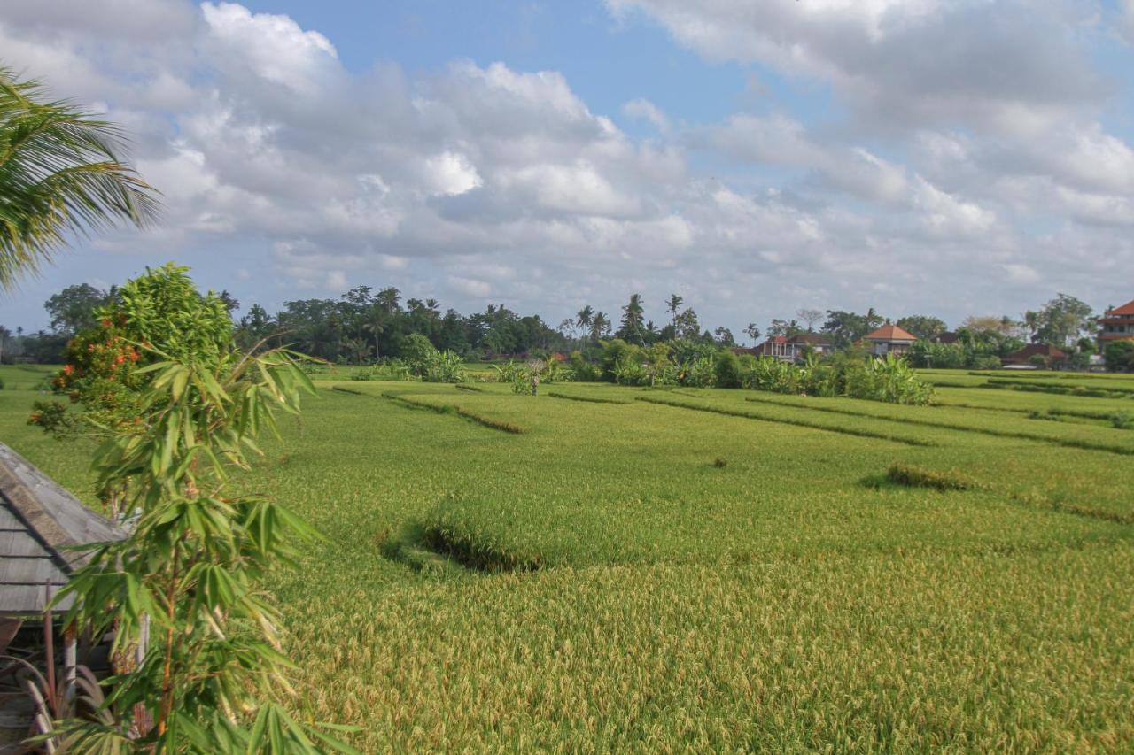 Kubu Sari Ubud Exteriör bild