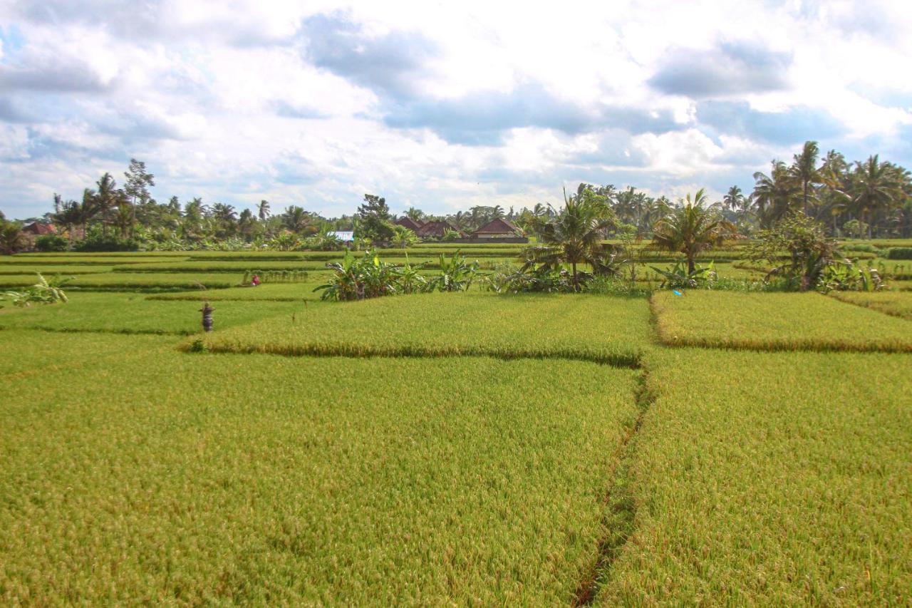 Kubu Sari Ubud Exteriör bild