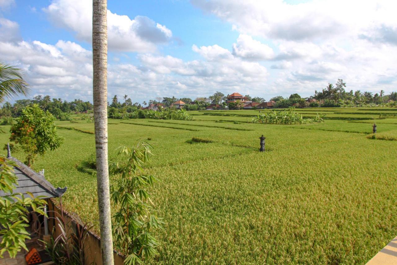 Kubu Sari Ubud Exteriör bild